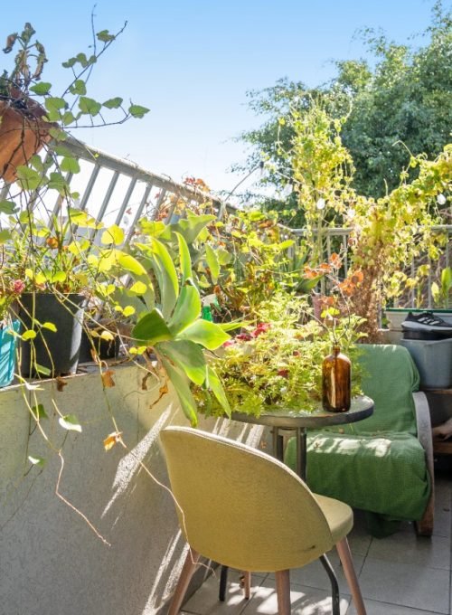 WhatsApp Image 2025-07-17 at 11.34.26 (3)