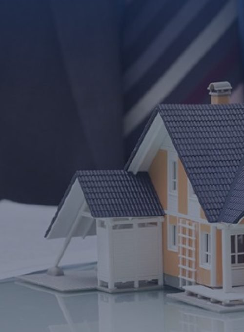 WhatsApp Image 2025-12-15 at 7.00.52 AM (1)